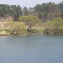 회야강변 이미지