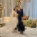 마리드엘 웨딩 | 대전 어두운 웨딩홀 마리드엘웨딩 하객후기 (받은 견적 공유)