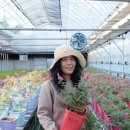 하단동168 이미지