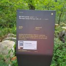 물고기의눈물이호수로 이미지