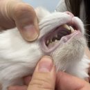 동구종합동물병원 이미지