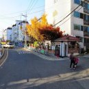 상오정로182번길 Daum카페