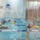 산들수영장 안성점 이미지