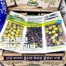 자이언트파마 | 코스트코 신상 FICACCI 피카치 올리브 트리오 이탈리아 칼로리 가격 마다마 올리바 절임 종류