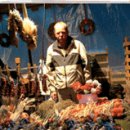 양파 이야기 모음 이미지