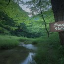 합천군산림조합 | 국내 캠핑 고수들이 숨겨 놓은 여름철 명당 공개