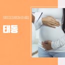 지혜산부인과의원 | 노원산부인과 태동이 줄어들면 병원 가야 할까