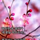 행복한하루 이미지