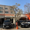 칠곡목련아파트 앞 | 대구 명덕 목련 명소 카페 그저모이기 후기