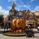 (주)위치스 | 경주월드 위치스 할로윈파티 입장료 이용시간 솔직후기