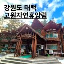 구 옛장터 식당 | [강원도] 태백 고원자연휴양림 숙소 후기 / 황지자유시장 식당 추천