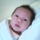 민성 Daum카페