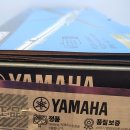 플루트(1년) 이미지