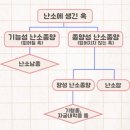 한운 | 배아파서 응급실 갔는데 입원하고 수술한 썰 (이대서울병원 난소 낭종 파열 제거 수술 후기)