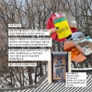 각궁 | 국궁...하실래요?(국궁입문후기)-2/ feat.정식 등록 절차/연습생(?) 후기, 가격 등