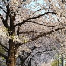 경기도 수원시 팔달구 월드컵로366번길 이미지