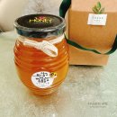 화실농장 이미지