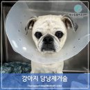 행신동물의료센터 이미지