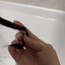 황제 공진보단 이미지