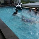 청호제하늘 이미지