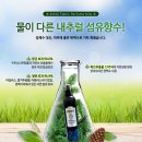 포미섬유