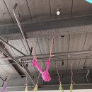 안양 비산동 요가후기, 보니 플라잉요가 : 도구필라테스, 발레핏, 힐링테라피