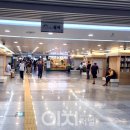 무료영화상영(라라랜드) 이미지