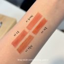 41190-01-07-100 | 내돈내산 블레이 씬글로우틴트 웜톤 발색(01포에틱,02밍글,06오운,07모들린)