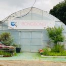 샤론농장 이미지