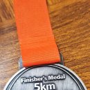 챔프 태권도 이미지