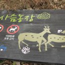 대가민박 이미지