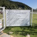 정희애견 이미지