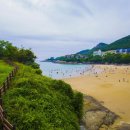 모항해수욕장(모항갯벌해수욕장)