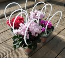 지니스 당진읍내점 이미지