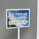 2024 짙은 여름 콘서트 &lt;꿈꾸는 여름&gt; 공연 후기