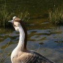 한자로의 산책 이미지