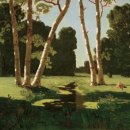 자작나무 숲 이미지