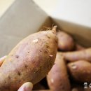 서해5농장 이미지