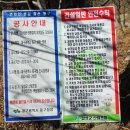 새미홀