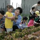 신수동 주민센터 이미지