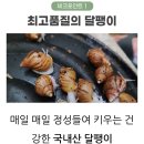 도화농산 | <도화농산 허리에 좋은 음식 달팽이 액기스>