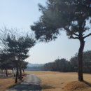 전주 PGA골프 이미지