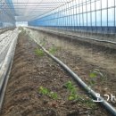 오가네농장 이미지