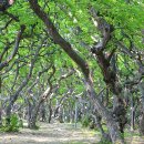 미림펜션(신관) 이미지