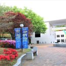 대구시립합창단 시민행복나눔콘서트 이미지