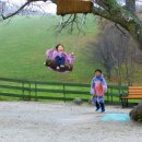 가을목장 이미지