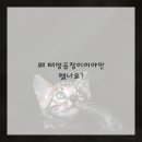 인생곱창 이미지