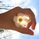 디자인낭