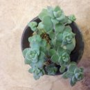 더맑은세상