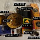 유랑KITCHEN | 모로코 자유여행 #10: 여행정보 그리고 Epilogue (+핫산네 후기)
